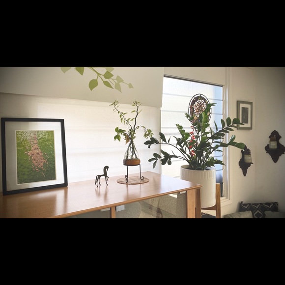 Meet your Posher, Aida - Picture 2 of 2